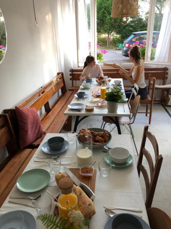 Surfhostel Hossegor Сорт-Осгор Екстериор снимка